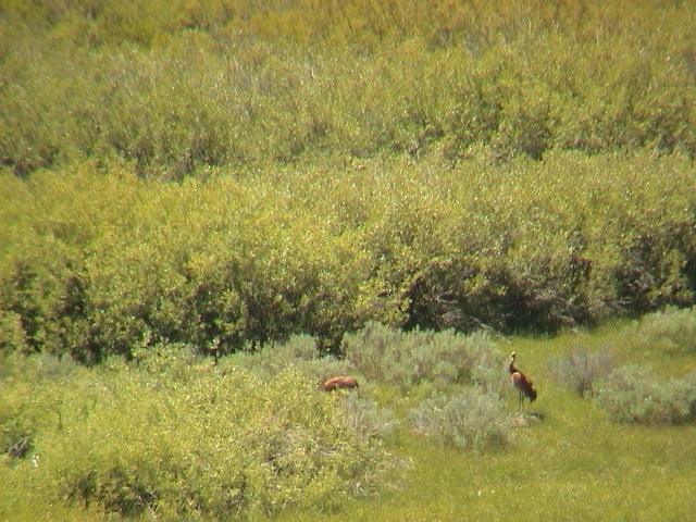 2006_WY 187