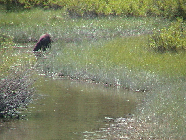 2006_WY 190