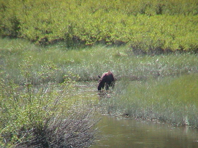 2006_WY 191