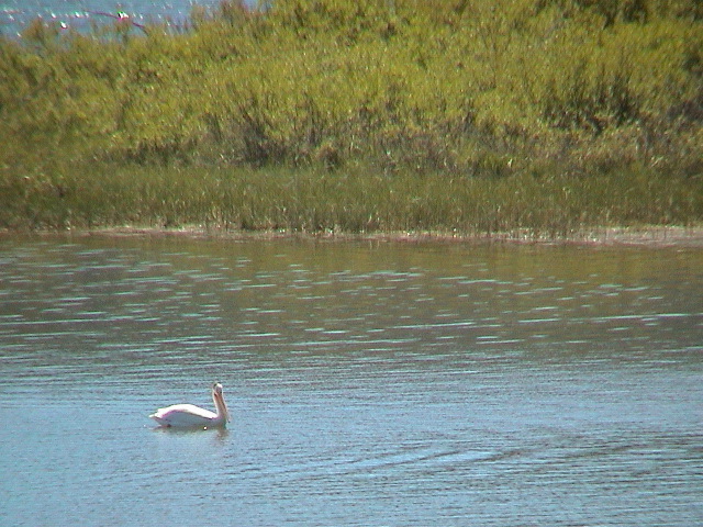 2006_WY 192