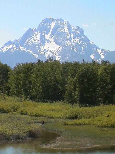 2006_WY 193