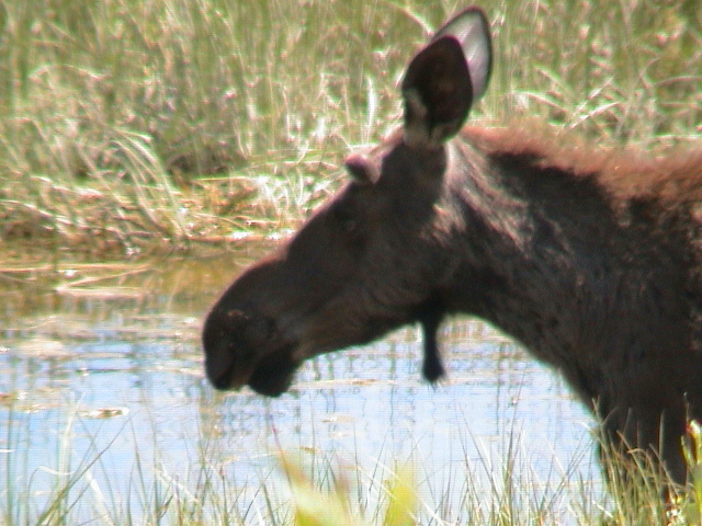 2006_WY 194