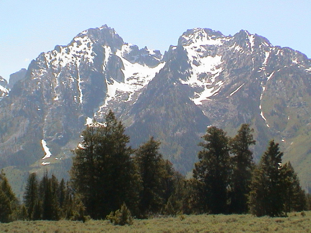 2006_WY 196