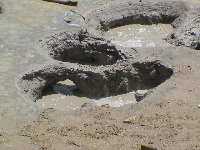 2006_WY 043