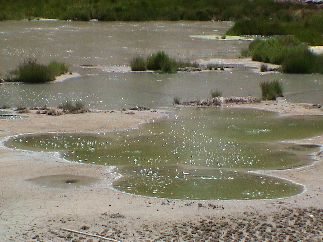2006_WY 044