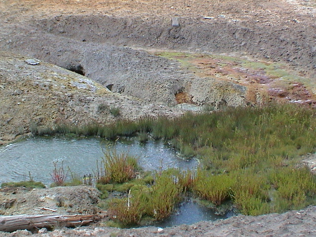 2006_WY 054