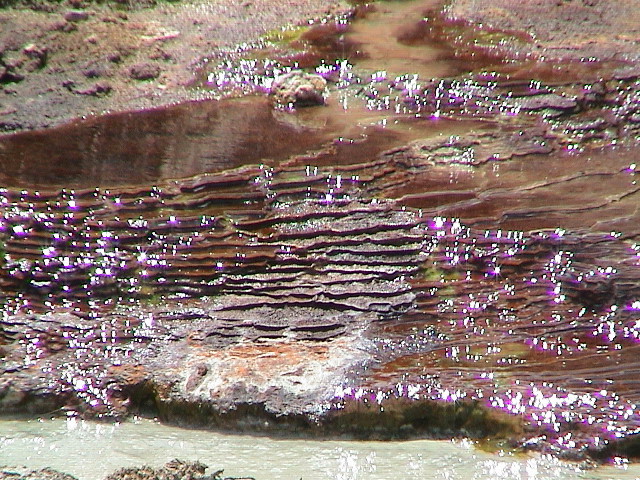 2006_WY 056