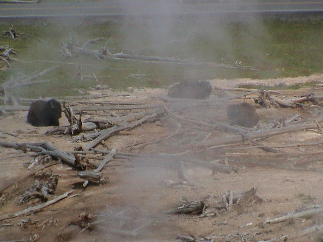 2006_WY 057