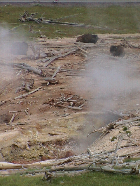 2006_WY 058