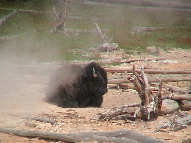2006_WY 059