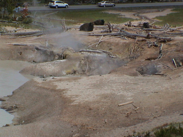 2006_WY 060