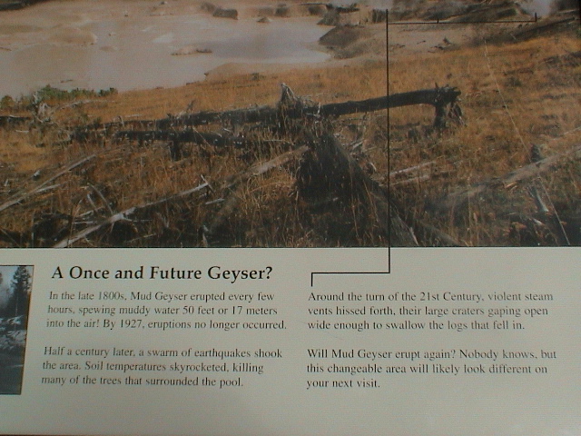2006_WY 061