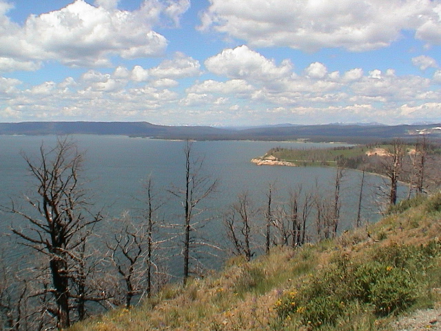 2006_WY 029
