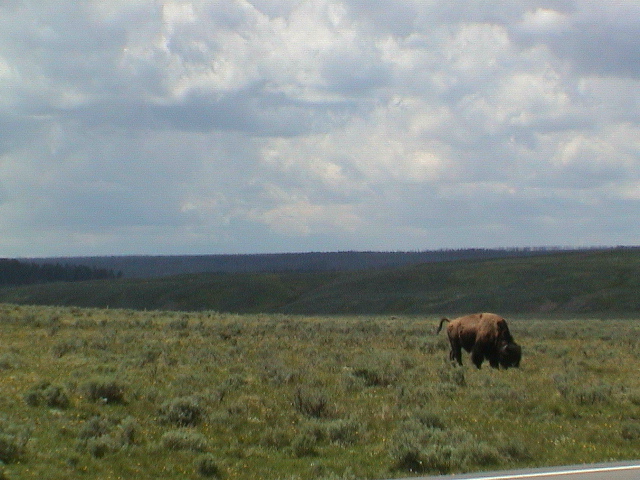 2006_WY 065