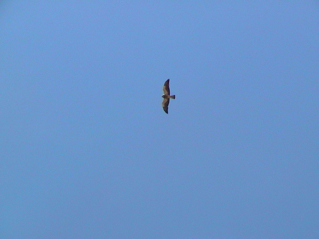 2006_WY 030
