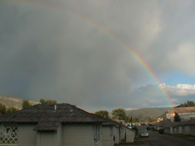 2006_WY 100
