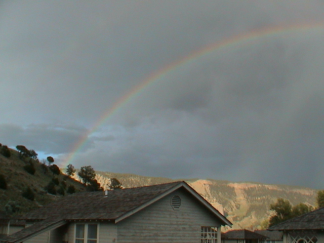 2006_WY 101