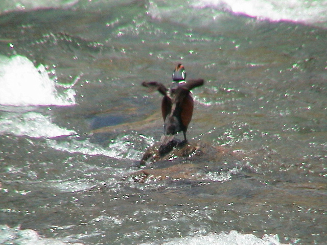 2006_WY 033