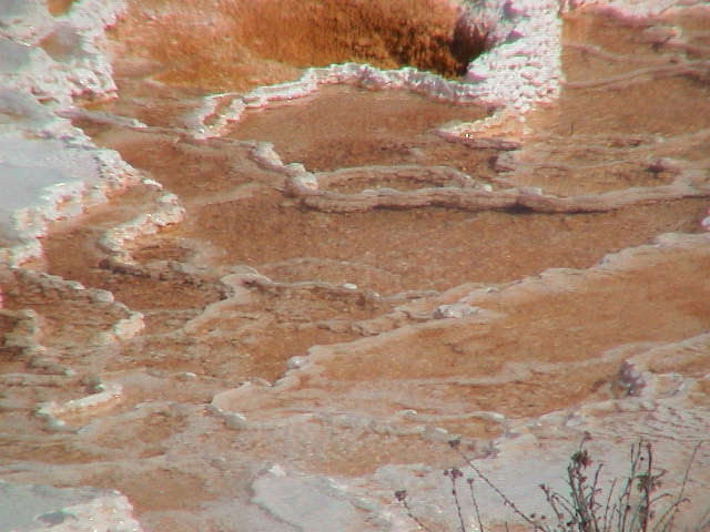 2006_WY 107