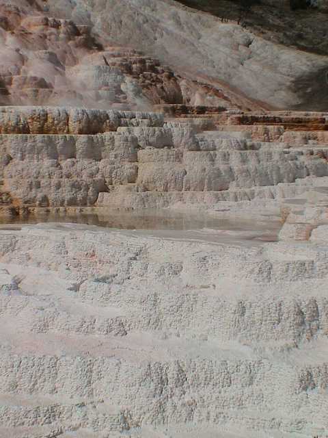 2006_WY 109