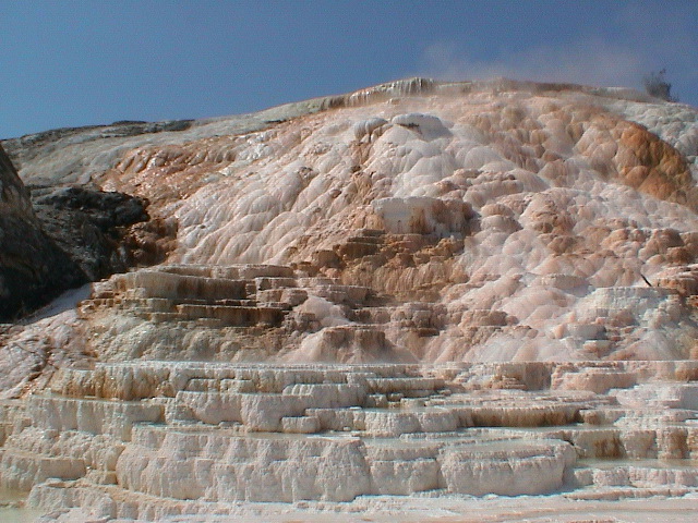 2006_WY 110