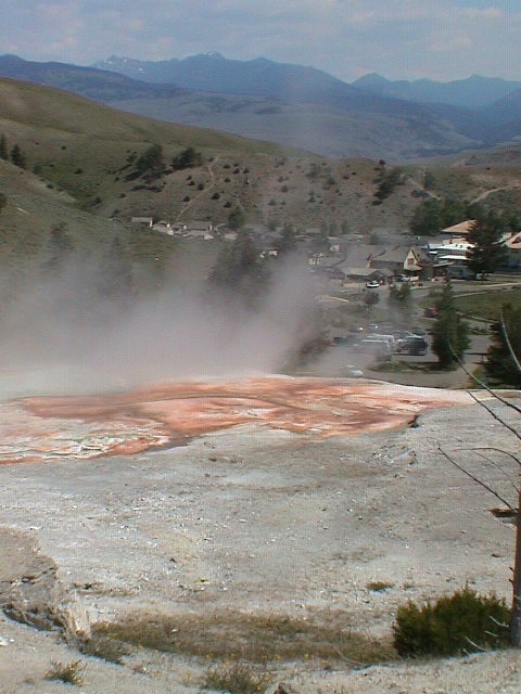 2006_WY 117