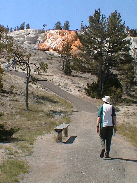 2006_WY 118
