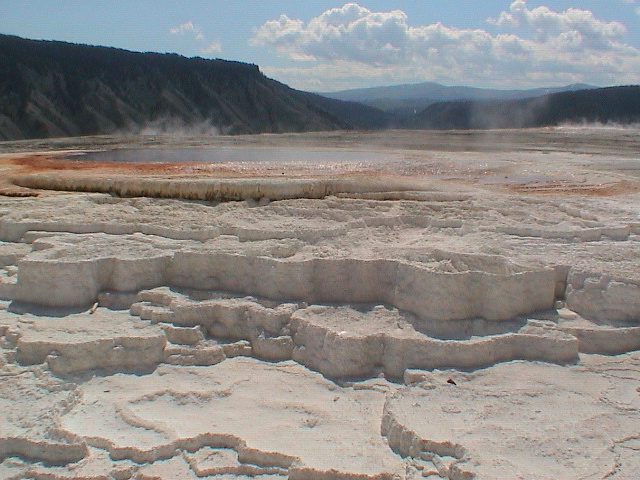 2006_WY 119