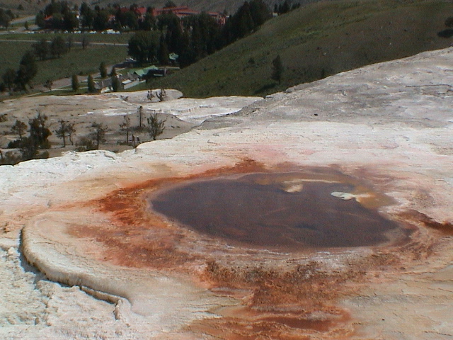 2006_WY 120