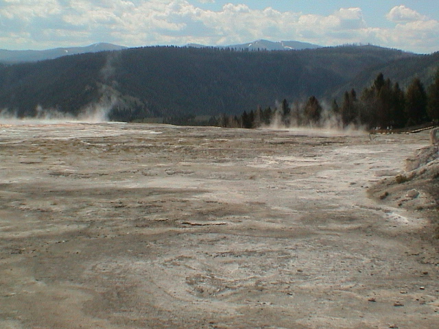 2006_WY 121