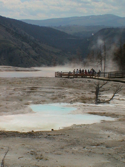 2006_WY 122
