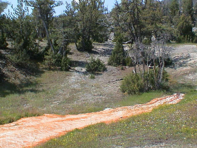 2006_WY 123