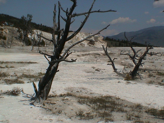 2006_WY 124