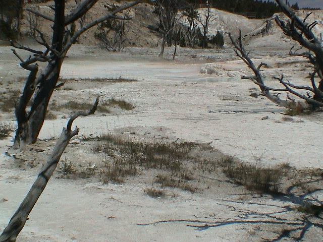 2006_WY 125