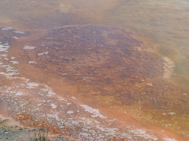 2006_WY 126