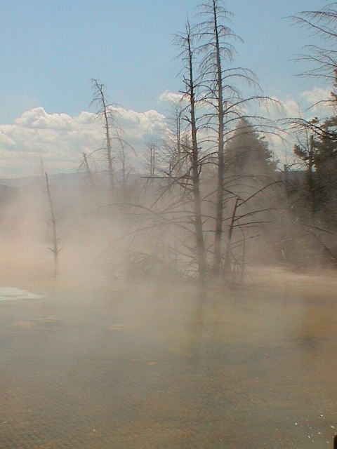 2006_WY 127