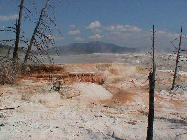 2006_WY 128