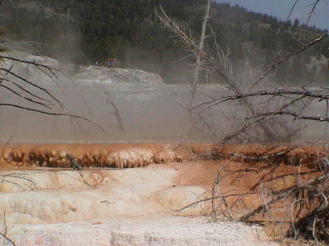 2006_WY 129