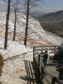 2006_WY 130