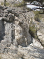 2006_WY 131