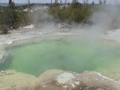 2006_WY 137