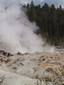 2006_WY 142
