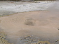 2006_WY 146