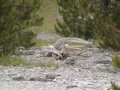 2006_WY 148