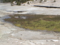2006_WY 149