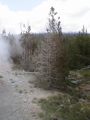 2006_WY 150