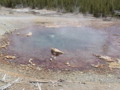 2006_WY 152