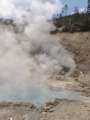2006_WY 153