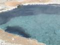 2006_WY 171