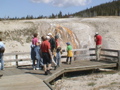 2006_WY 172
